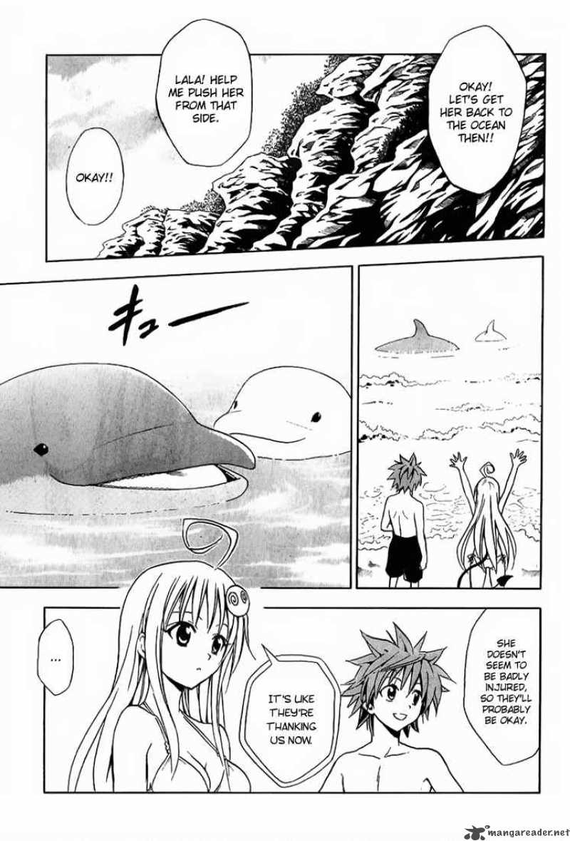 To Love Ru 17 18