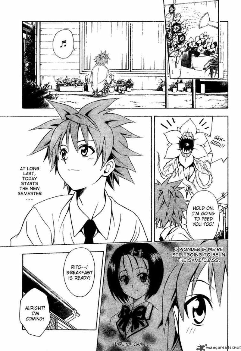 To Love Ru 49 5