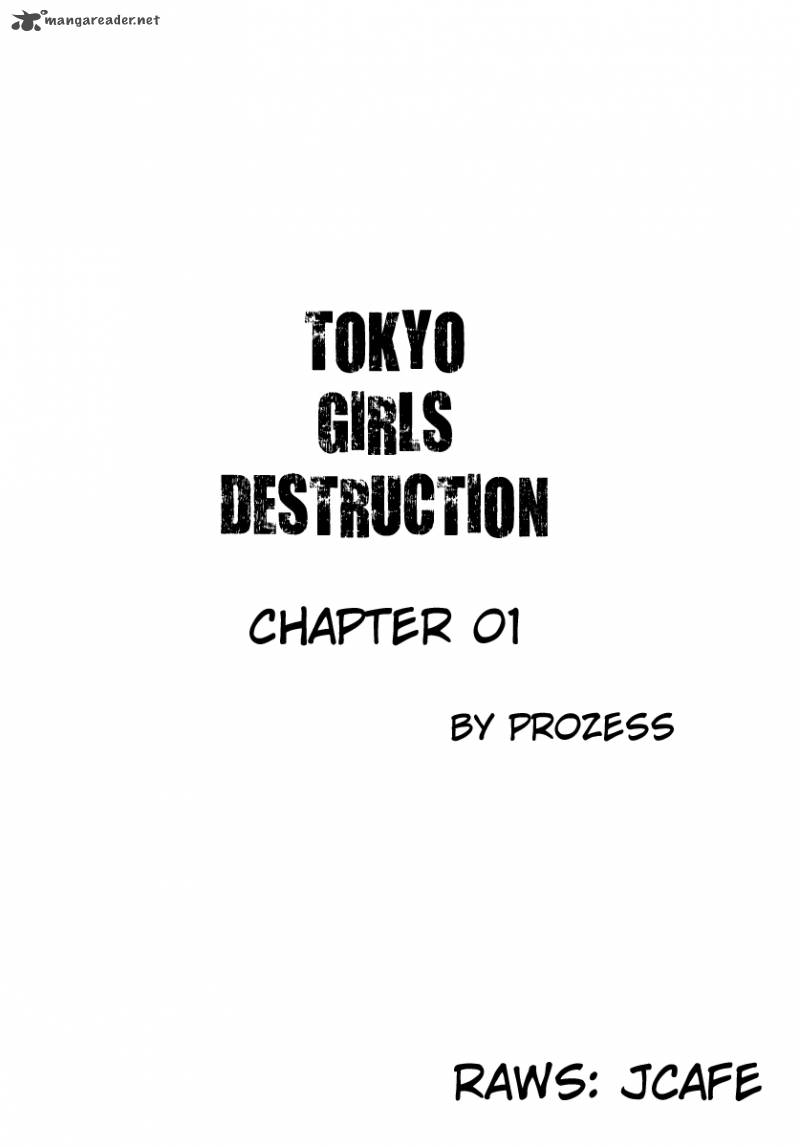 Tokyo Girls Destruction 1 1