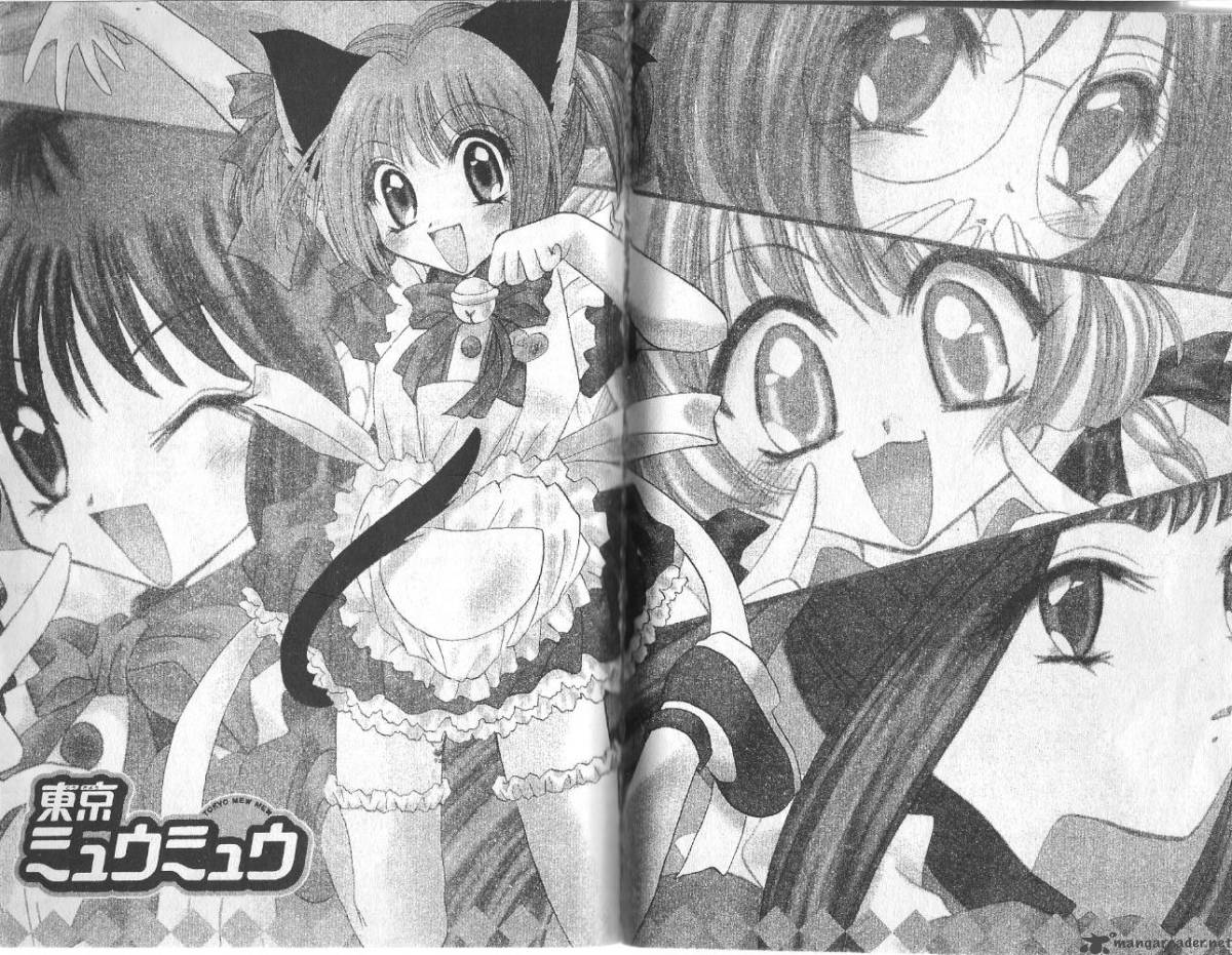 Tokyo Mew Mew 15 23