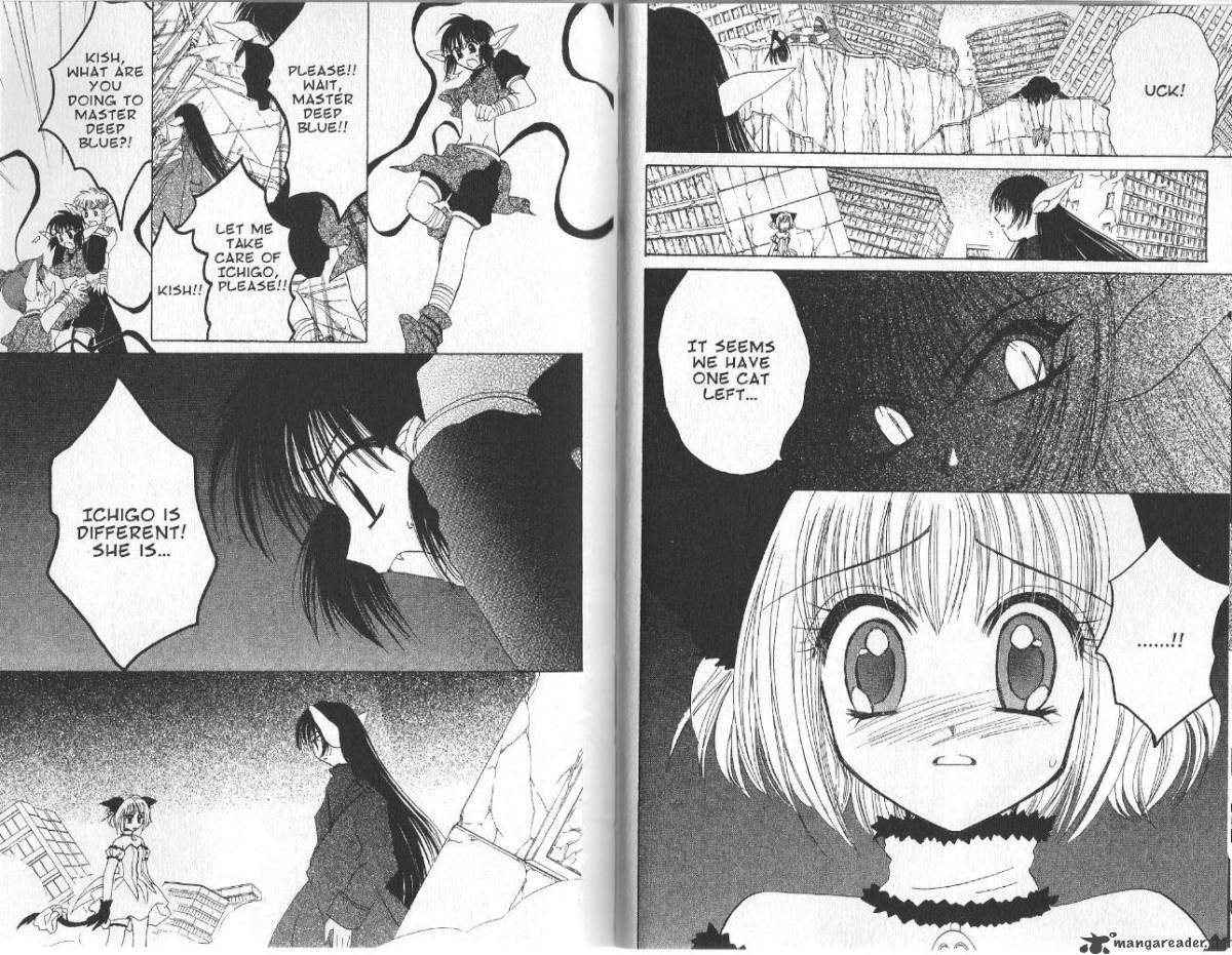 Tokyo Mew Mew 29 15