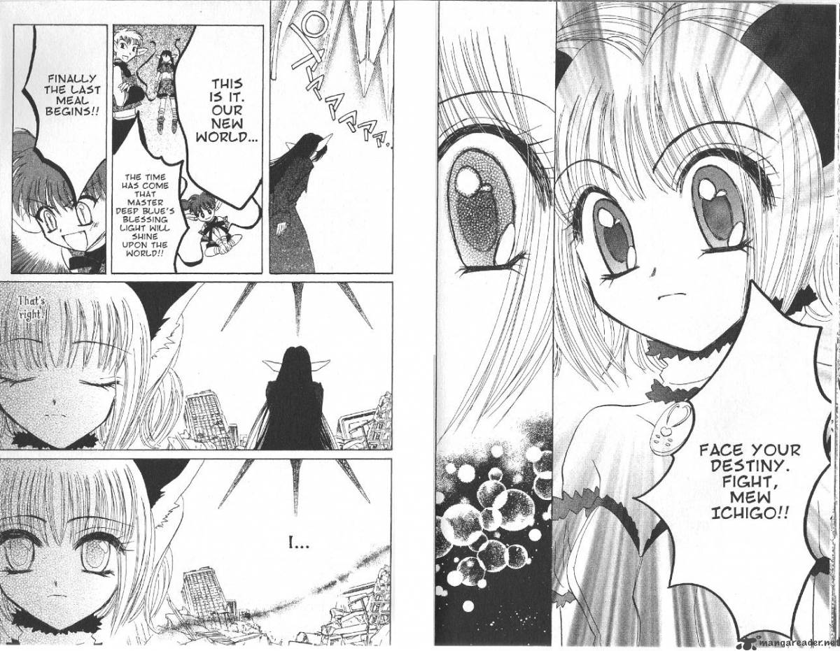 Tokyo Mew Mew 29 21