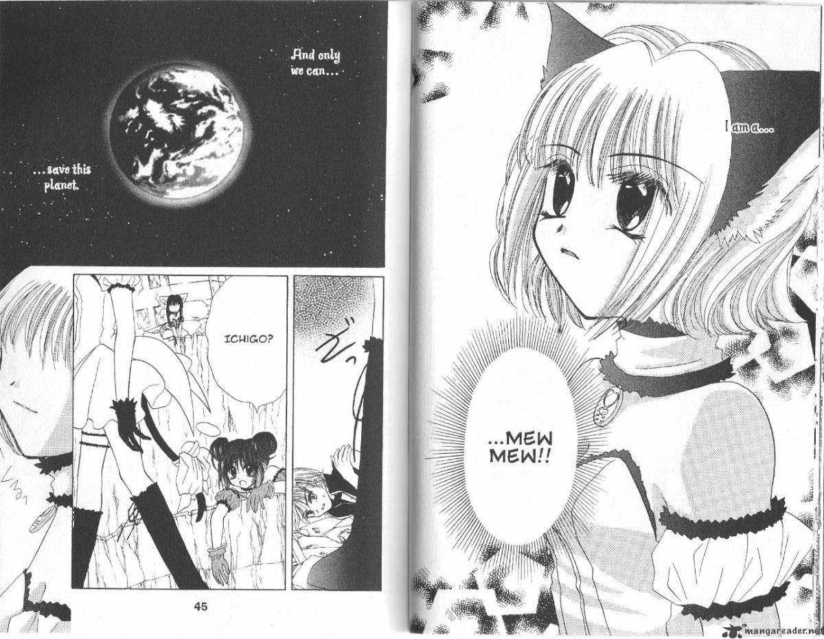 Tokyo Mew Mew 29 22