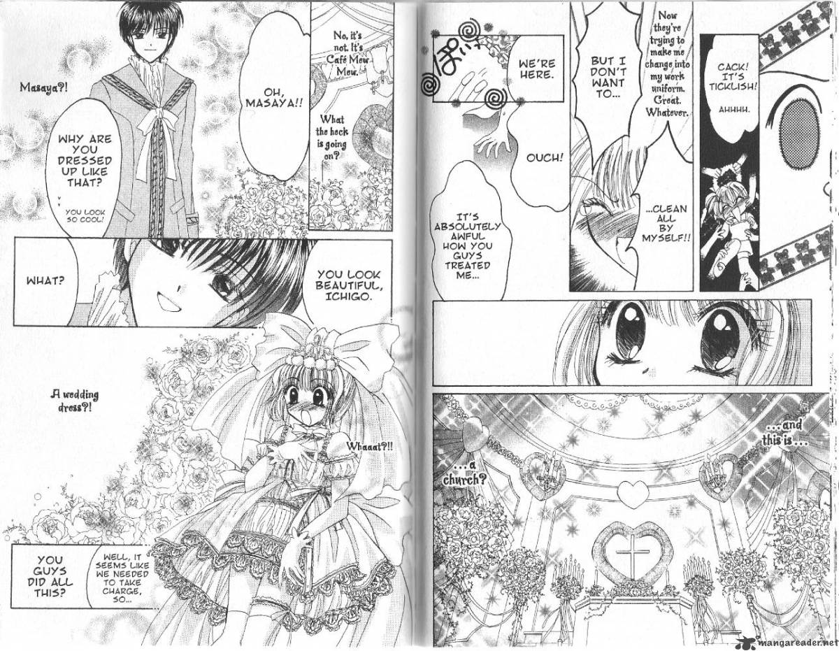 Tokyo Mew Mew 32 17