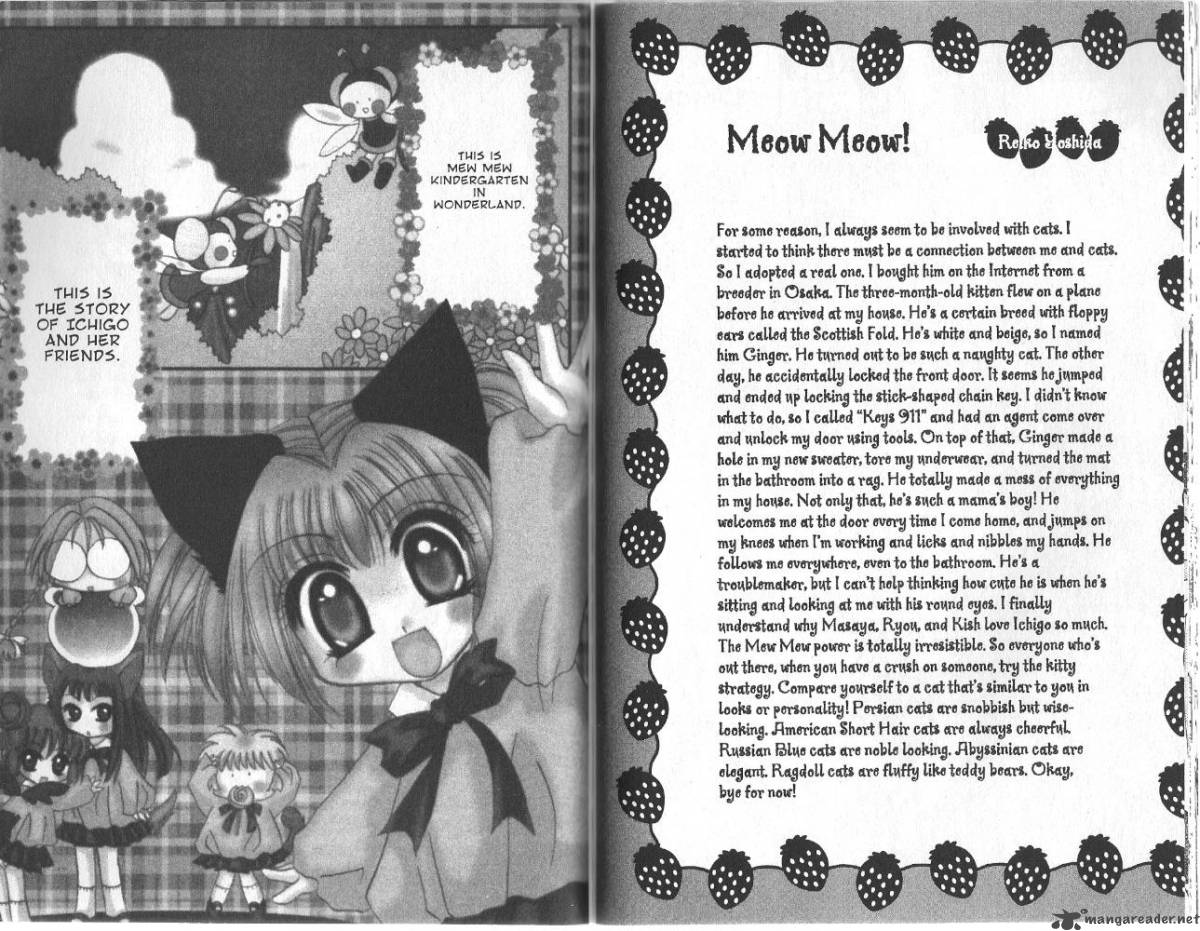 Tokyo Mew Mew 32 20