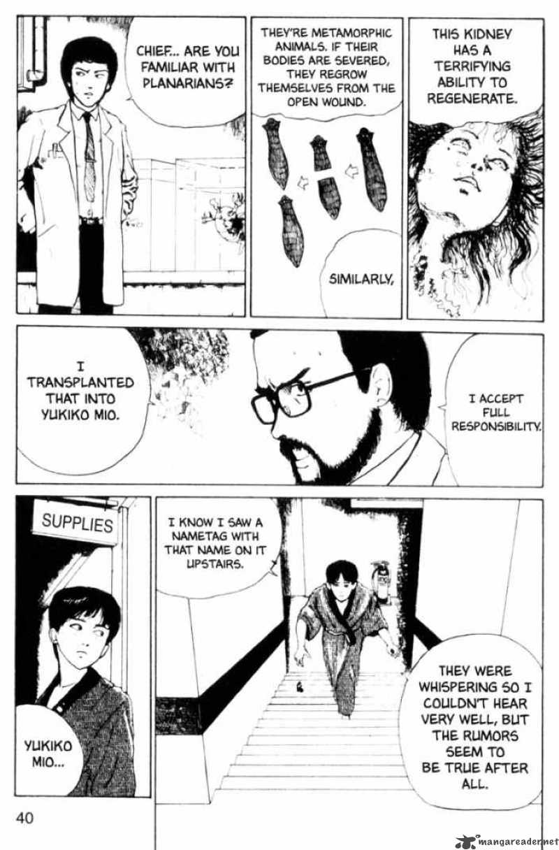 Tomie 8 8