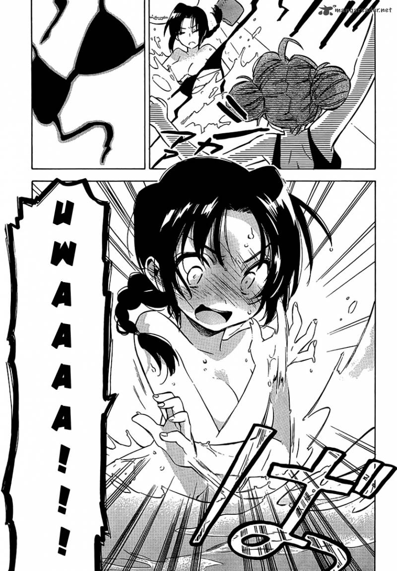 Tora Dora 32 7