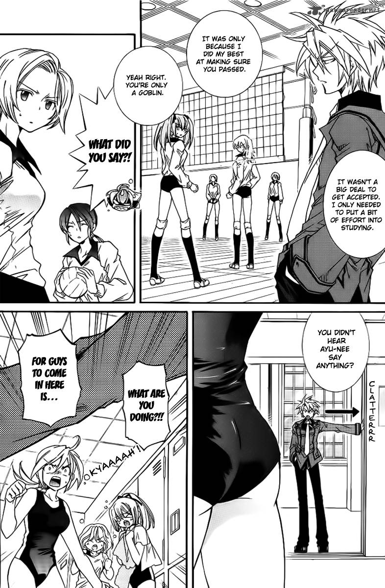 Toraneko Folklore 8 4