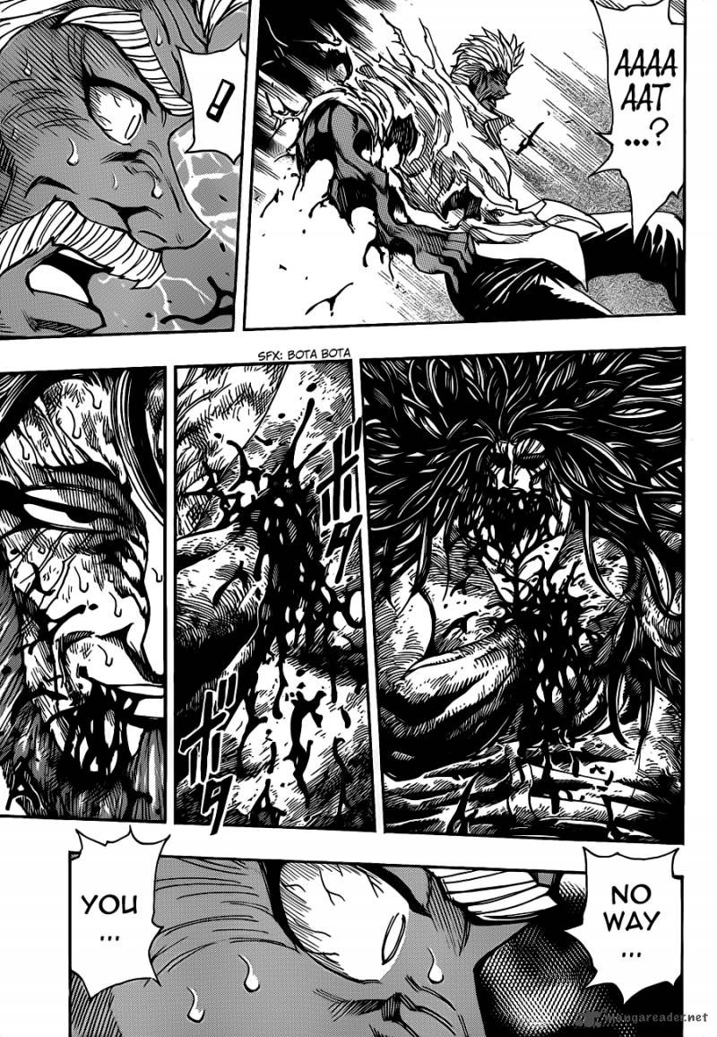 Toriko 249 17