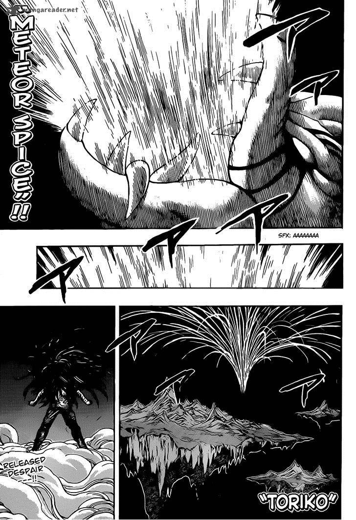 Toriko 255 1