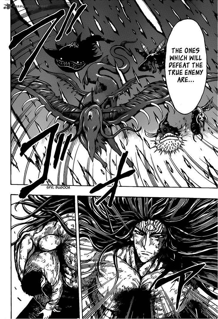 Toriko 255 15