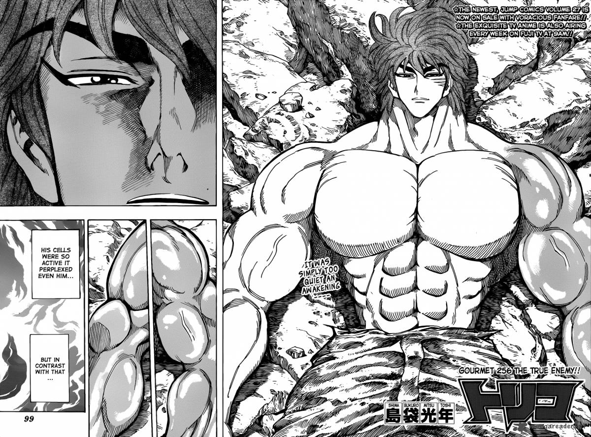 Toriko 256 4