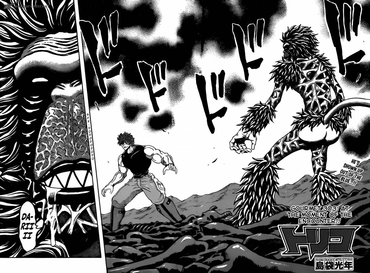 Toriko 303 2