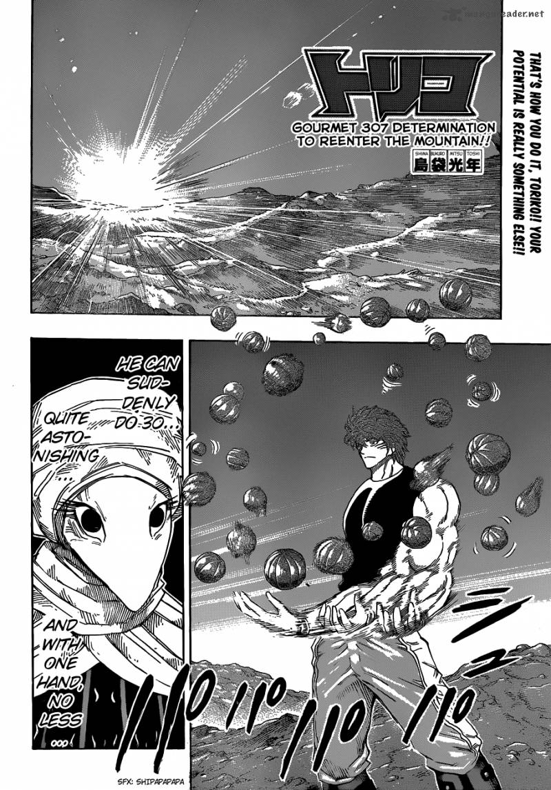 Toriko 307 2