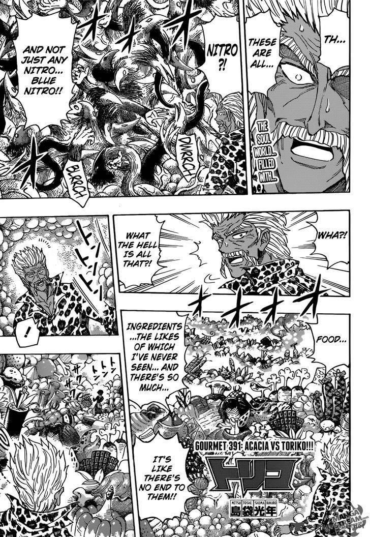 Toriko 391 1