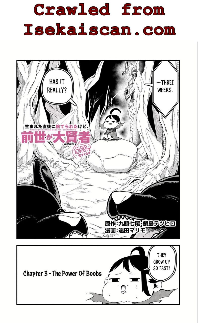 Umareta Chokugo Ni Suterareta Kedo Zensei Ga Taikensha Datta Node Yoyuu De Ikitemasu 3 3