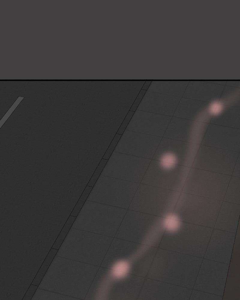 Unordinary 367 106