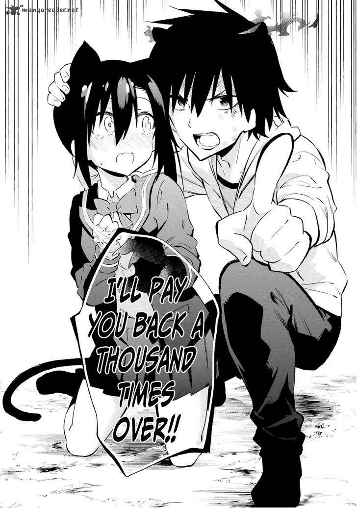 Urami Koi Koi Urami Koi 17 35
