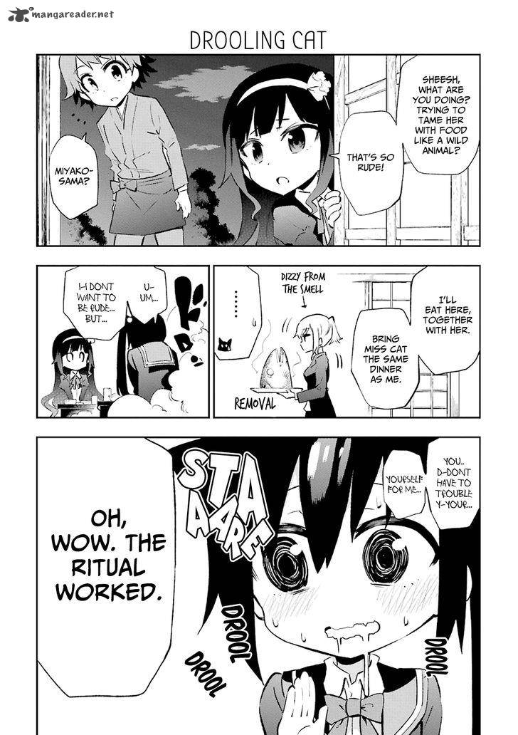 Urami Koi Koi Urami Koi 20 3
