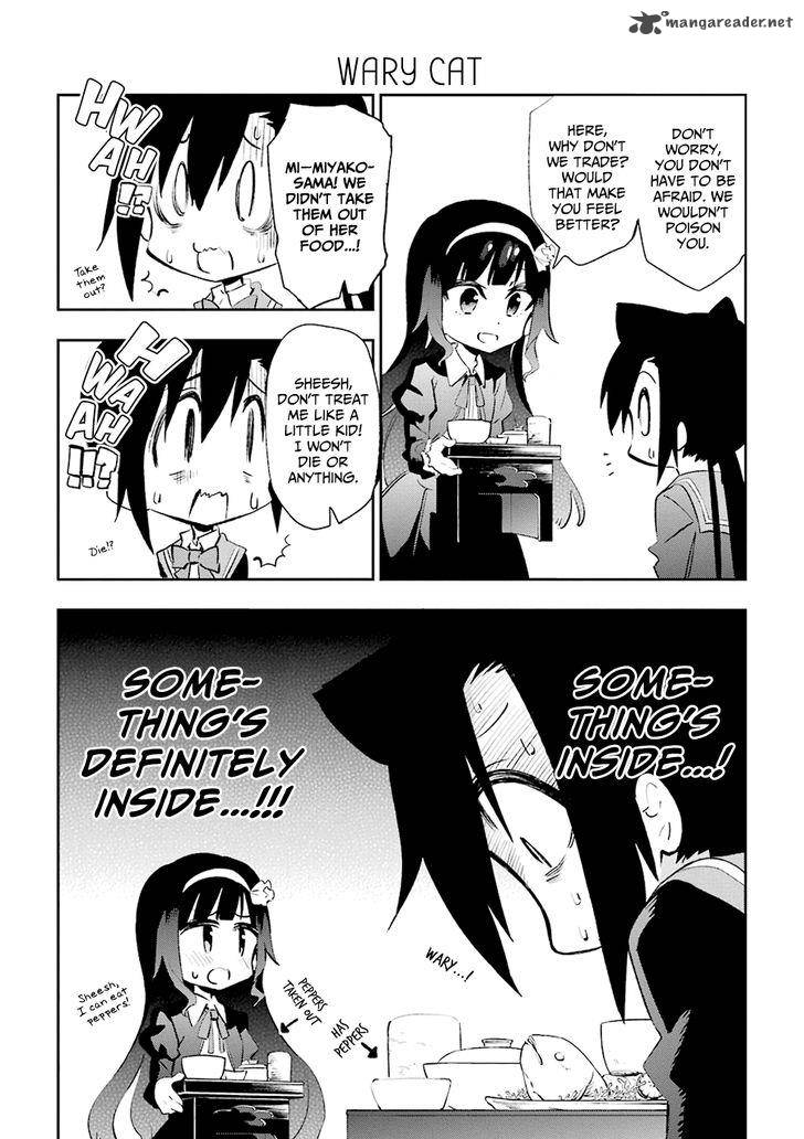 Urami Koi Koi Urami Koi 20 4