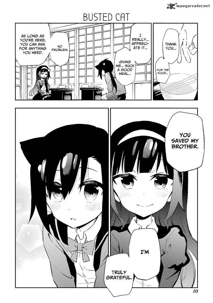 Urami Koi Koi Urami Koi 20 6