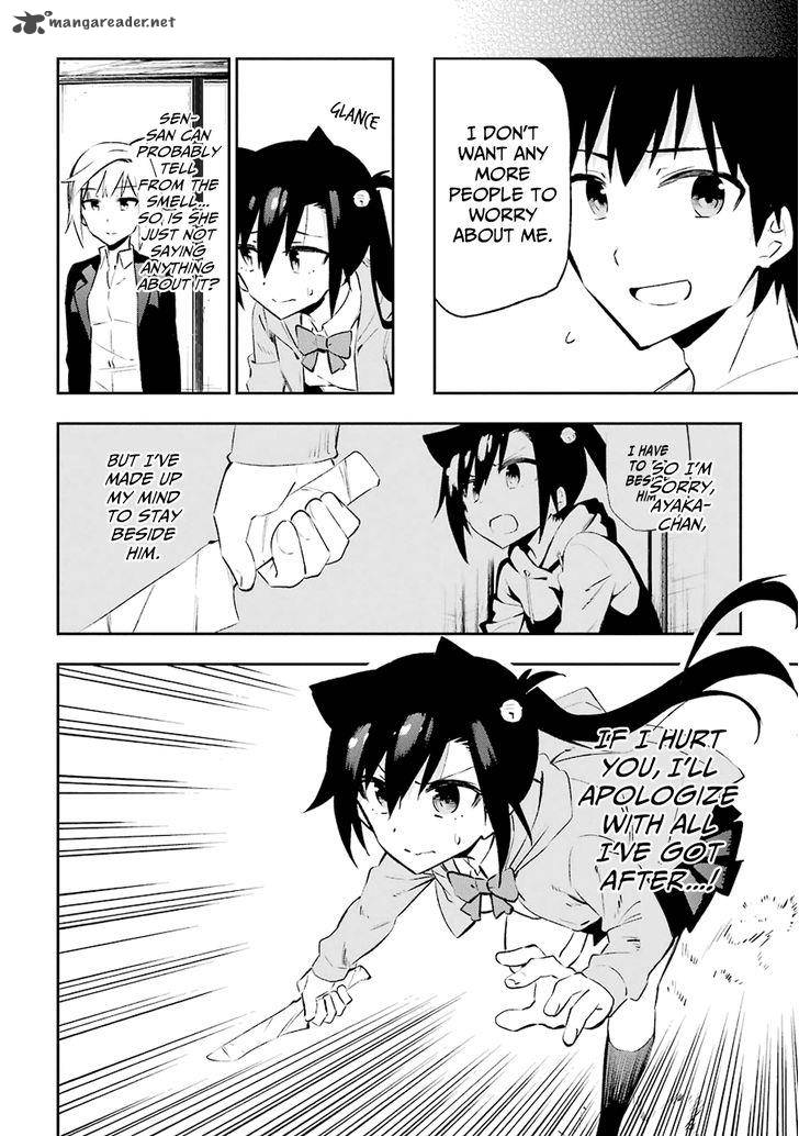 Urami Koi Koi Urami Koi 24 10