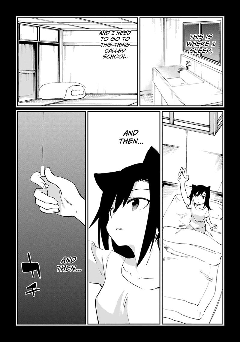 Urami Koi Koi Urami Koi 53 2
