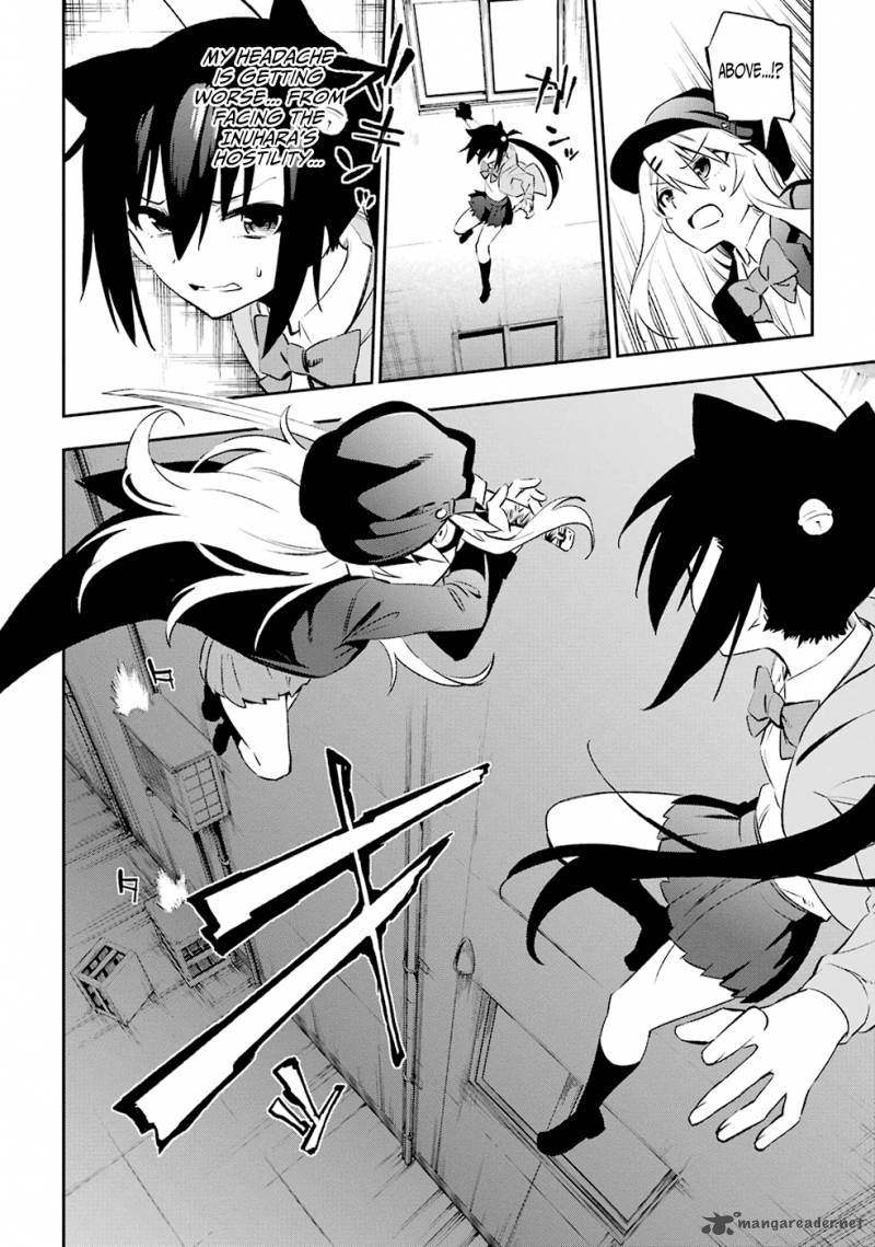 Urami Koi Koi Urami Koi 6 20