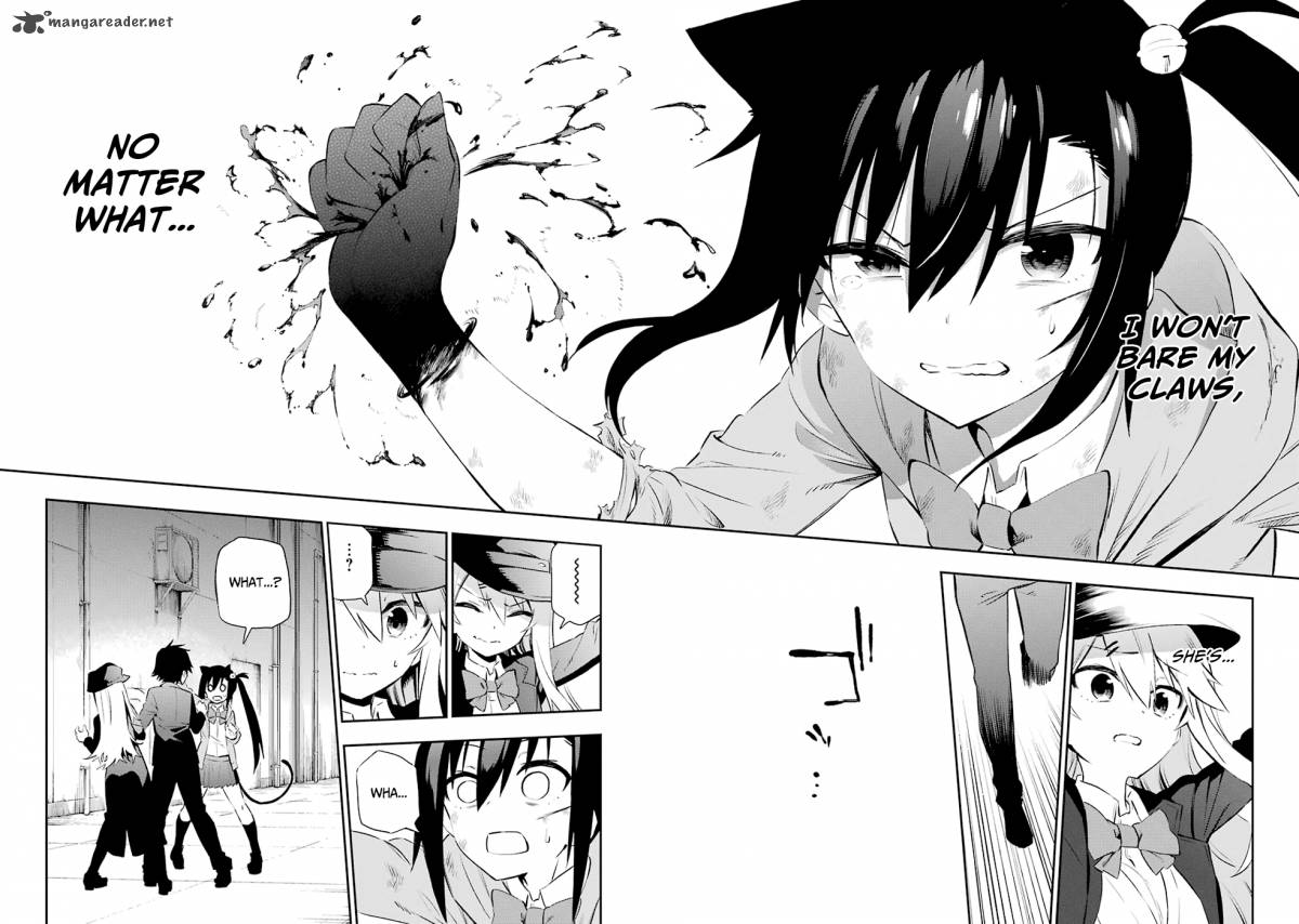 Urami Koi Koi Urami Koi 6 38