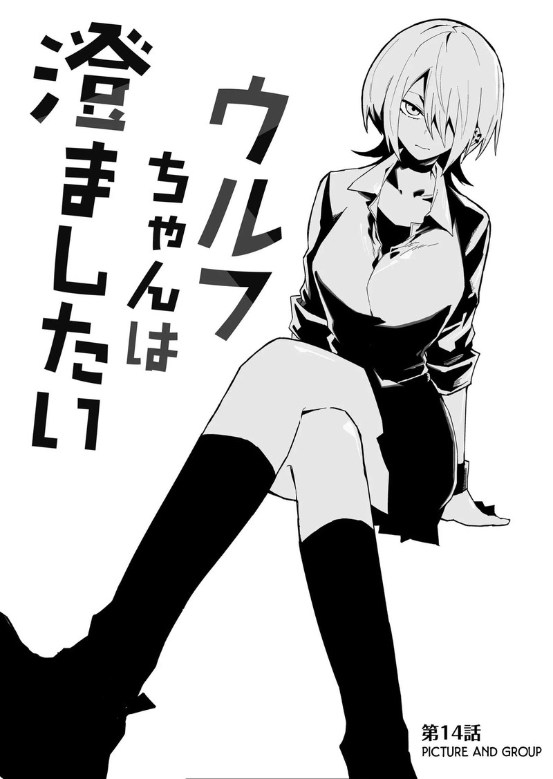 Wolf Chan Wa Sumashitai 14 1