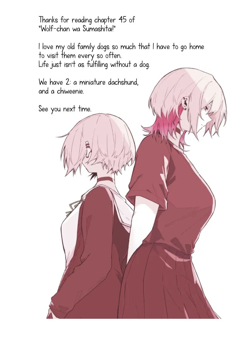 Wolf Chan Wa Sumashitai 45 18