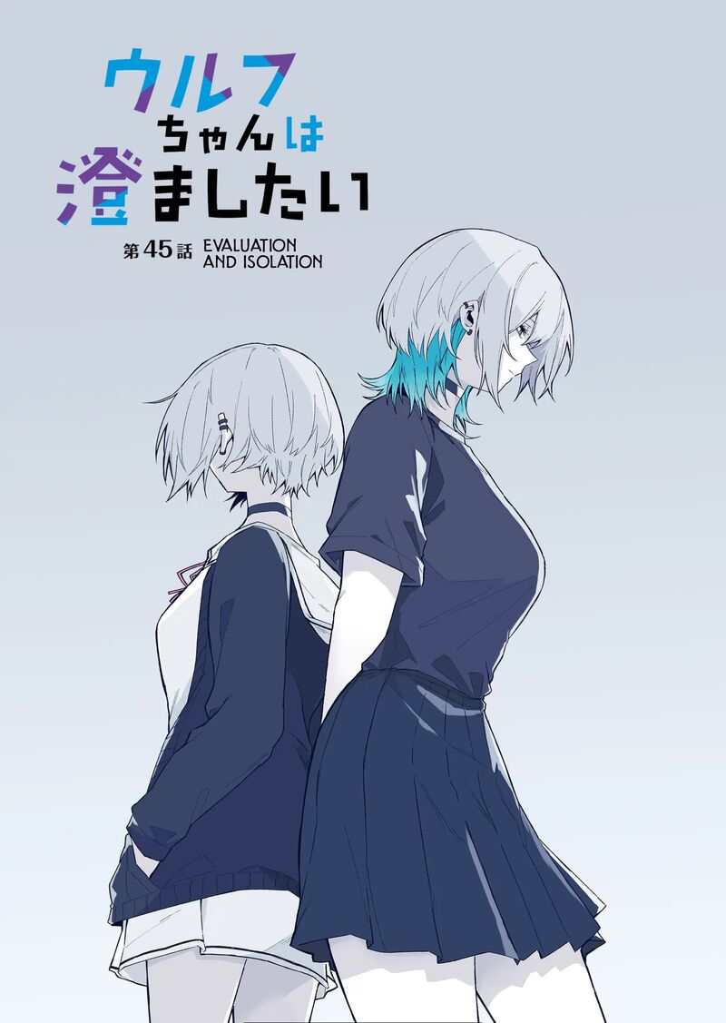 Wolf Chan Wa Sumashitai 45 3