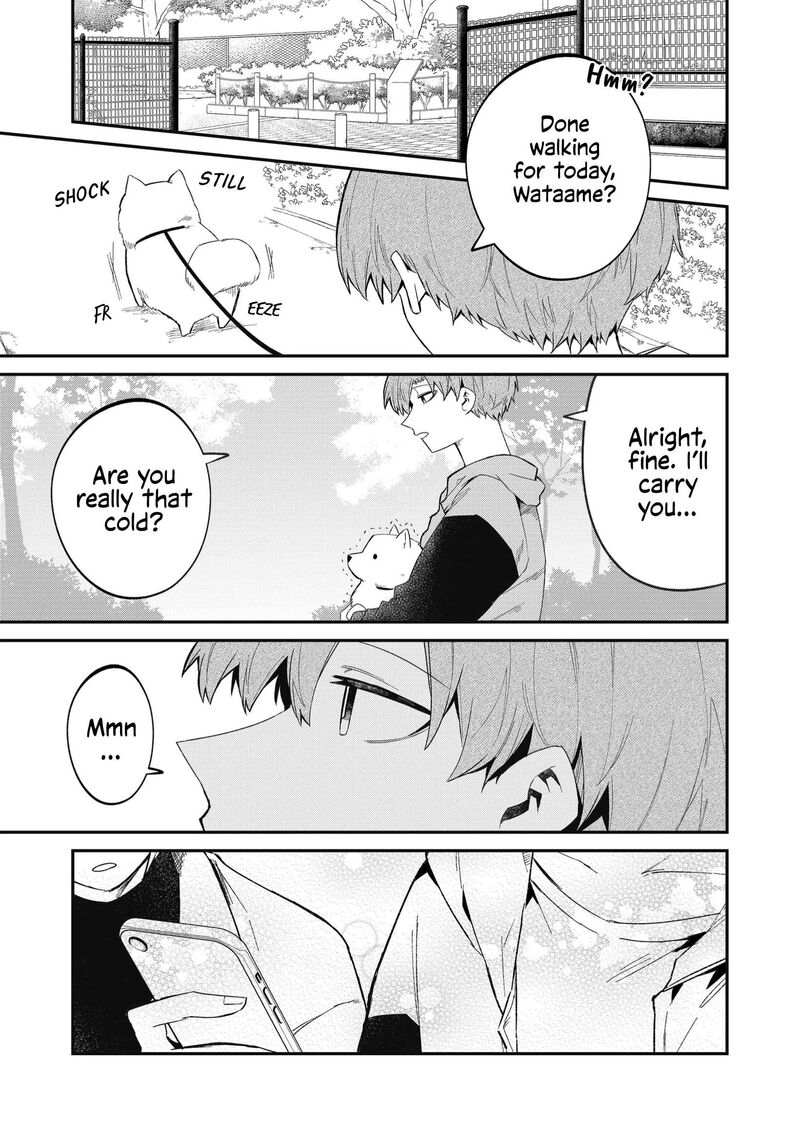 Wolf Chan Wa Sumashitai 51 11