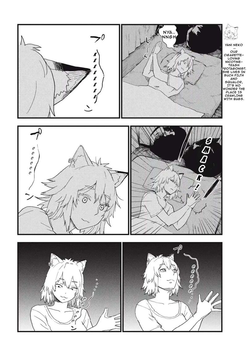 Yani Neko 288 2