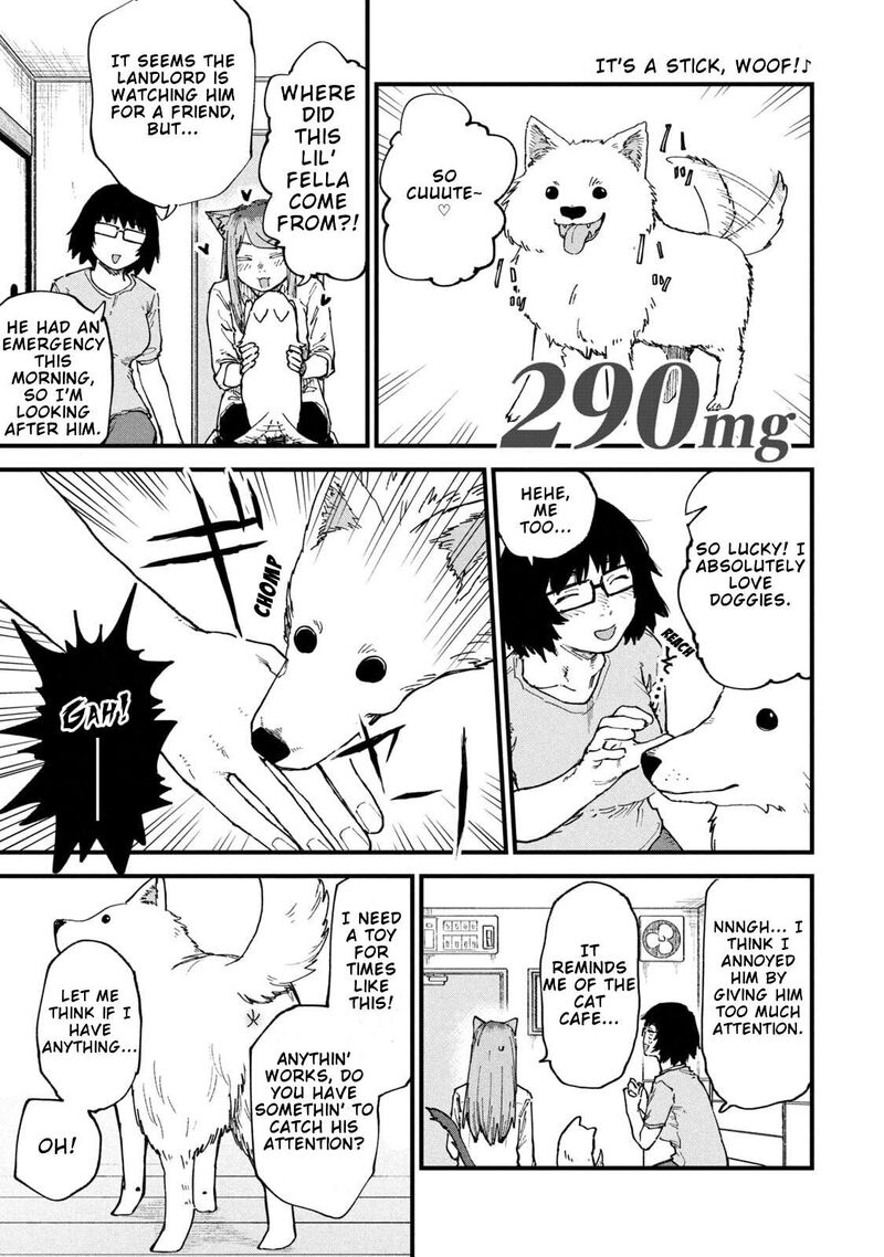 Yani Neko 290 1