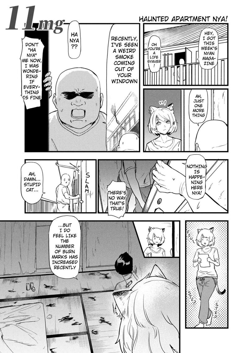 Yani Neko 304 1