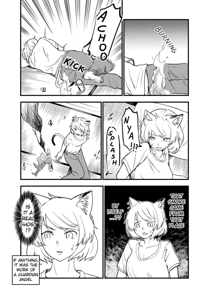 Yani Neko 304 3