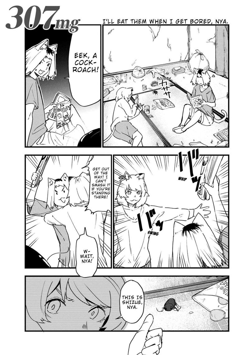 Yani Neko 307 1