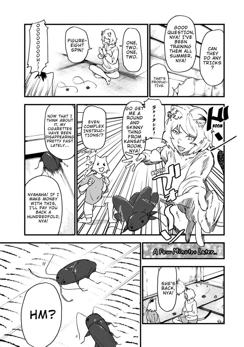 Yani Neko 307 3