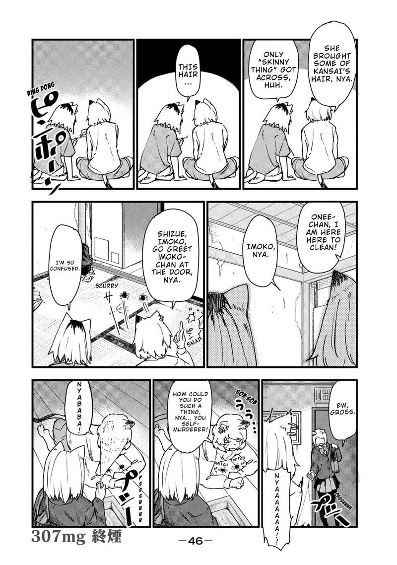 Yani Neko 307 4