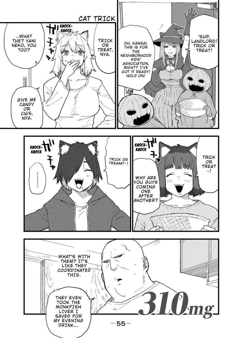 Yani Neko 310 1