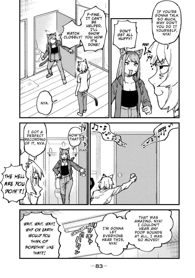 Yani Neko 314 3