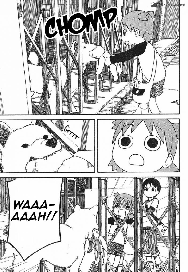 Yotsubato 75 13