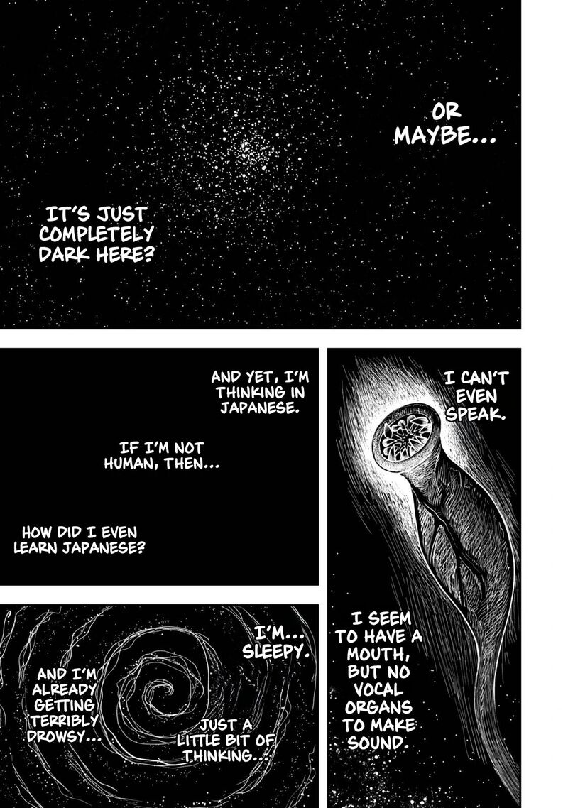 Zettai Shinanai Stella Hime 1b 5