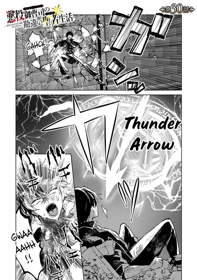 Akuyaku Onzoushi No Kanchigai Seija Seikatsu Nidome No Jinsei Wa Yaritai Houdai Shitai Dake Na No Ni 30 1