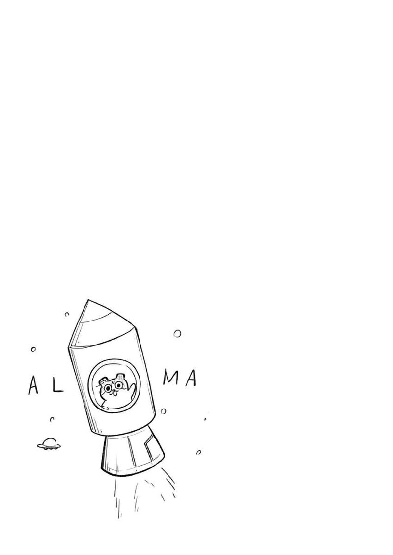 Alma 29 20