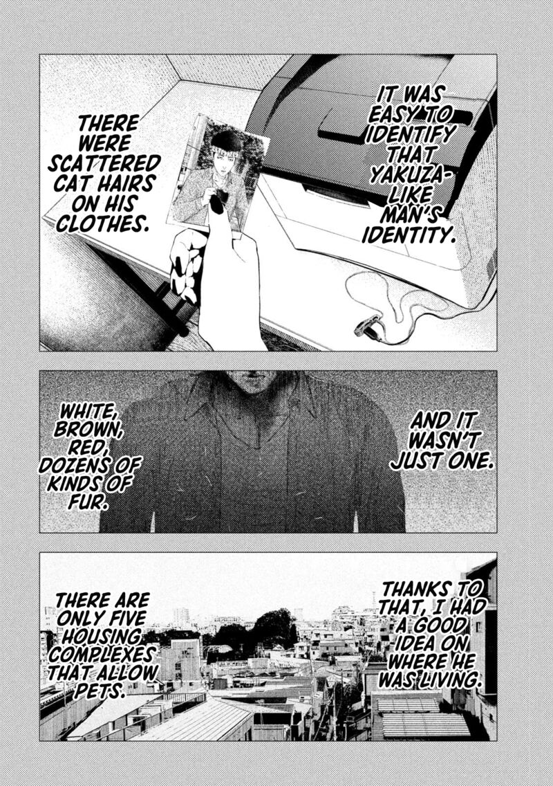 Amateur Vigilante 55 2