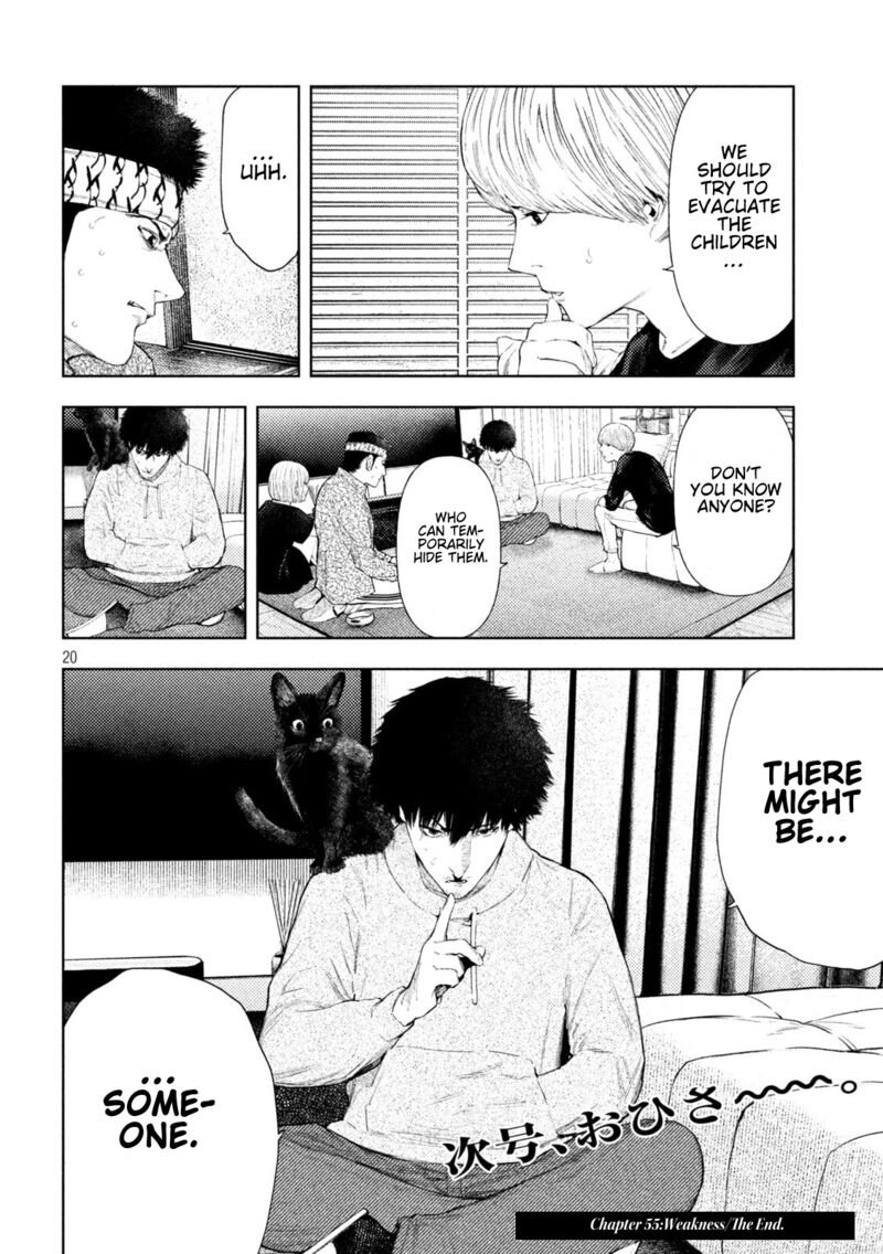 Amateur Vigilante 55 20