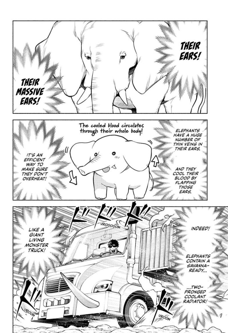 Animal Signal 1 16