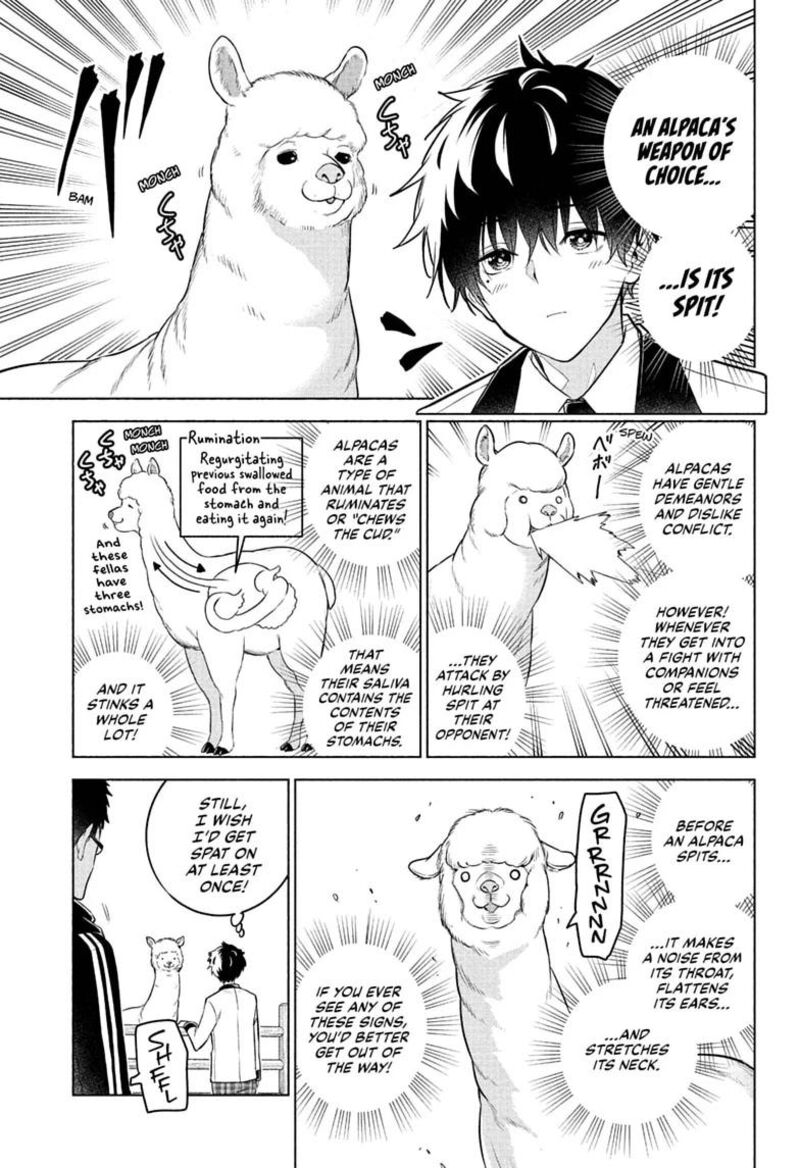 Animal Signal 13 3